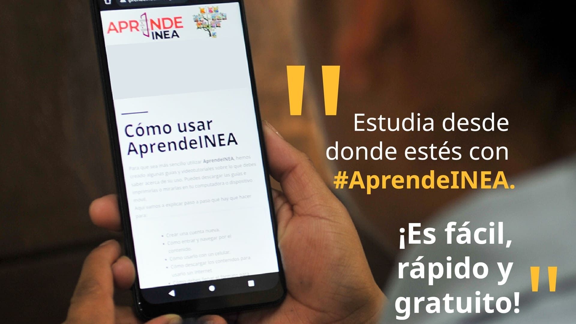 AprendeINEA, la plataforma para certificar tus estudios de primaria y secundaria en Oaxaca