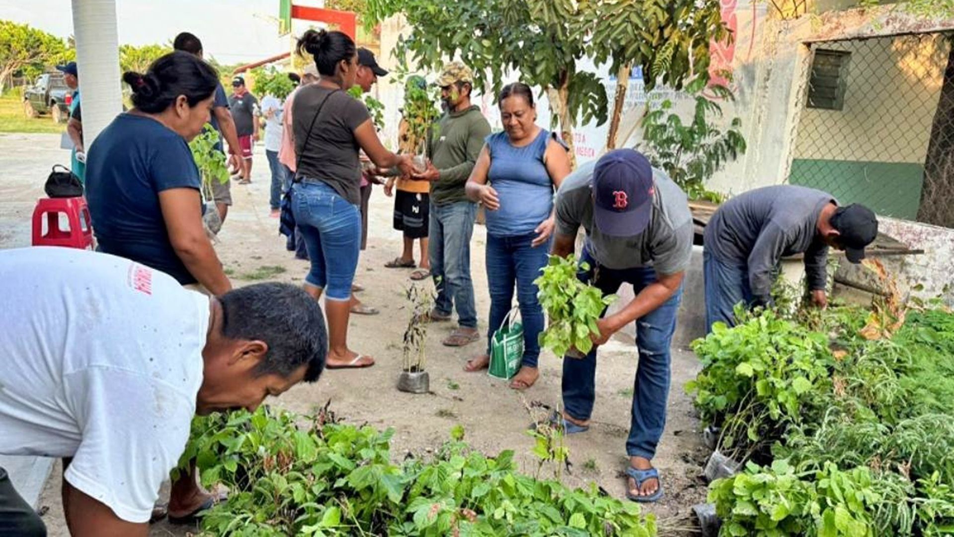 San Dionisio del Mar refuerza su cobertura forestal con apoyo de la Coesfo
