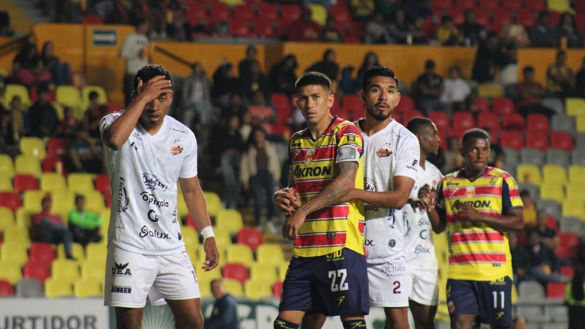 ¡Sotaneros y decepcionantes! Alebrijes de Oaxaca de hunde