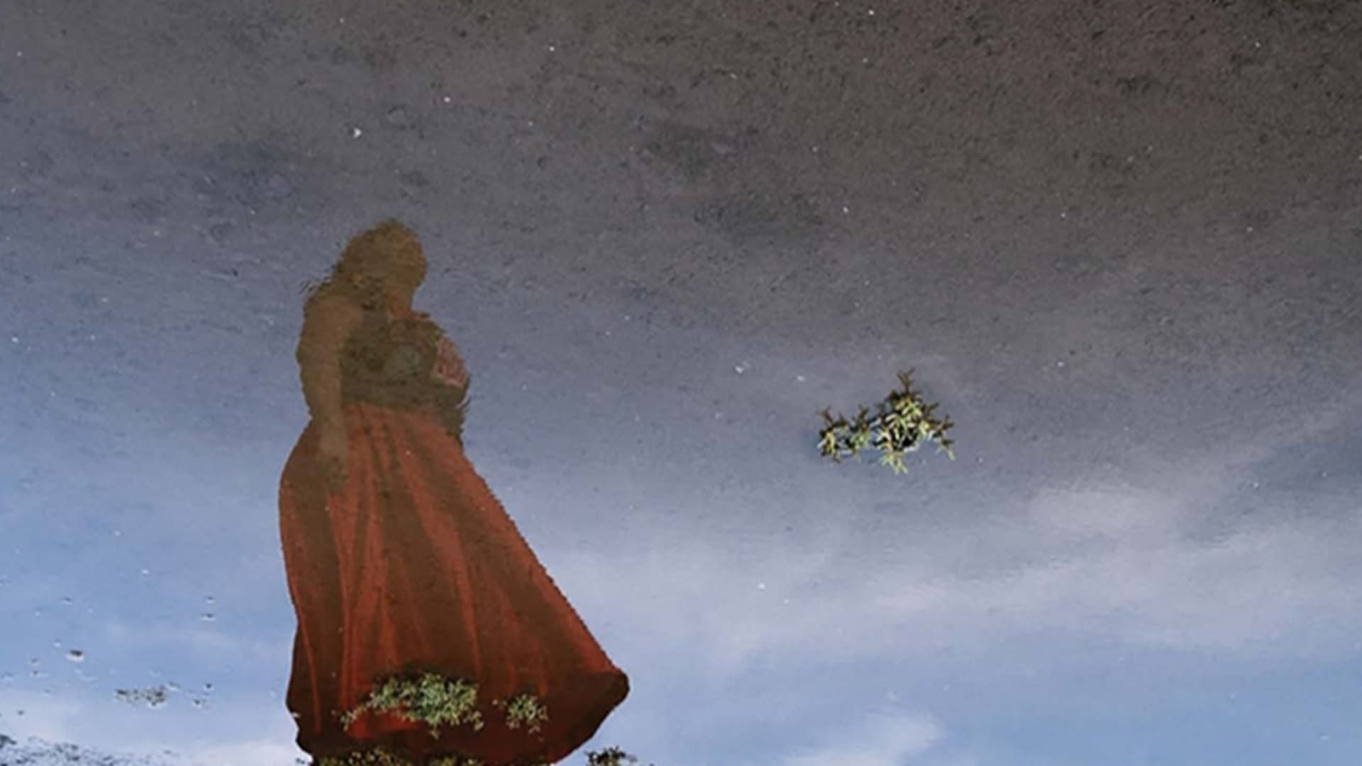 Cuatro Mujeres poderosas oaxaqueñas