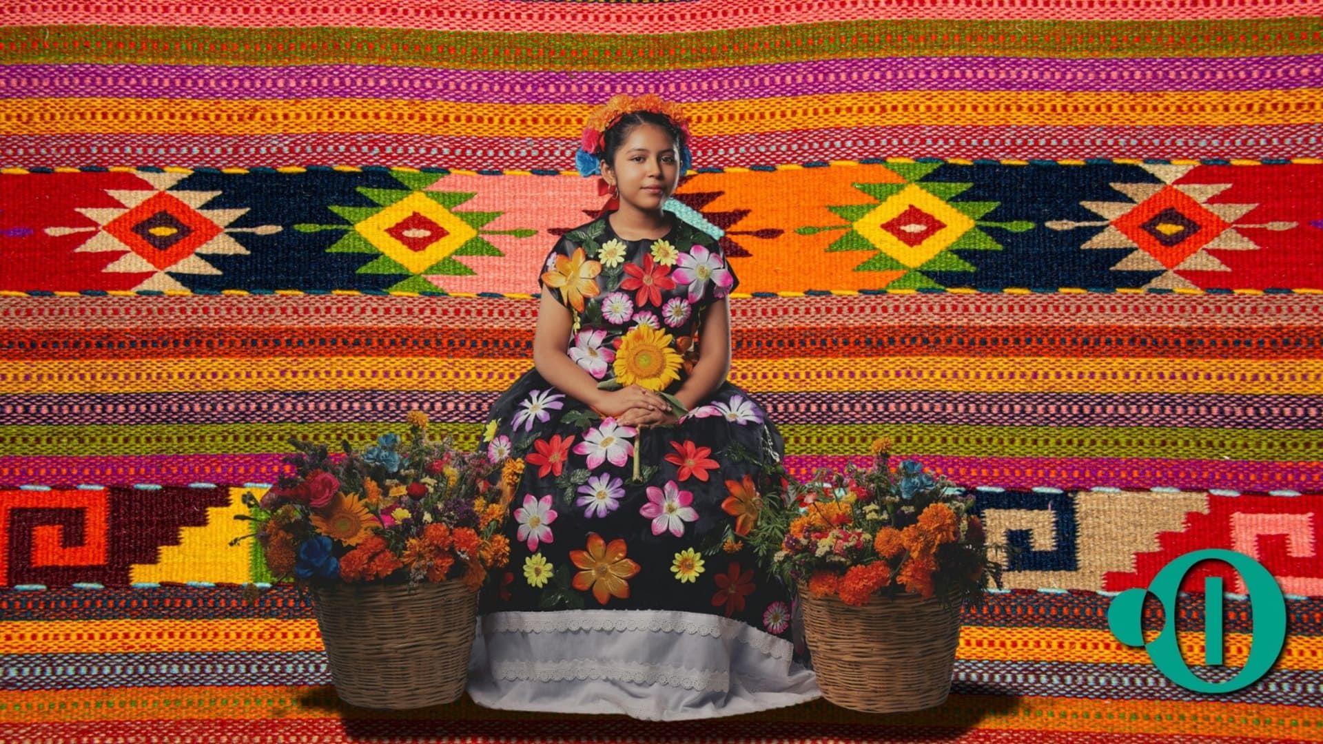 Entendiendo el arte textil de Oaxaca: Tradición y color en cada hilo
