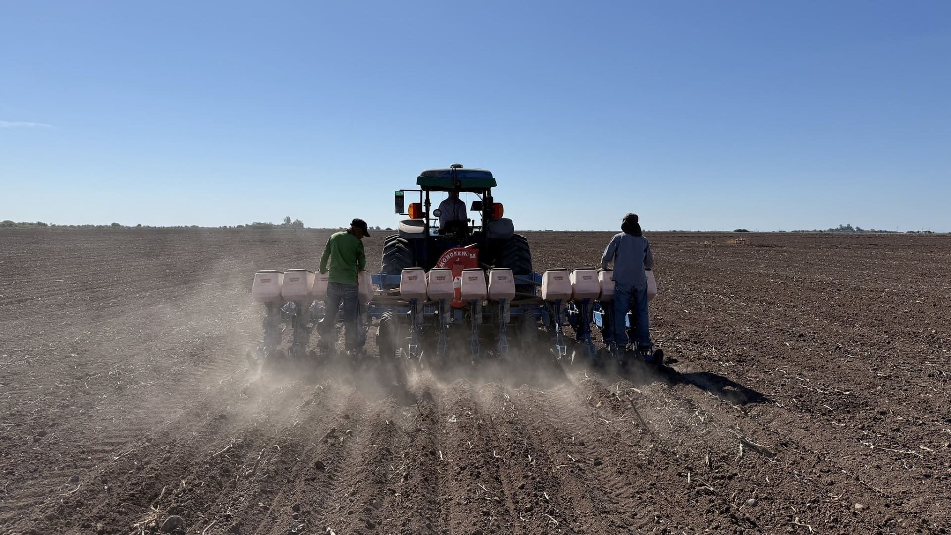 México, hacia la peor caída en producción de granos en 25 años