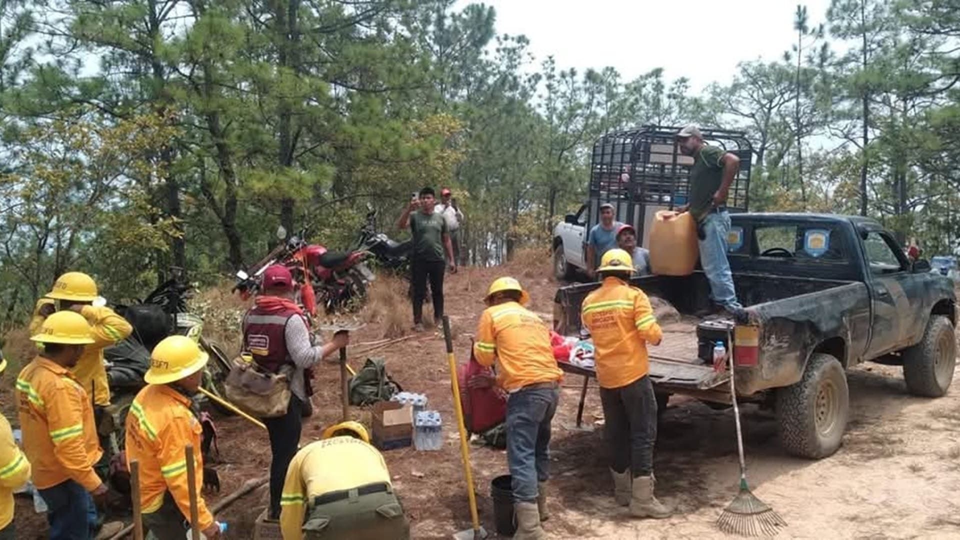 Cerca de ser controlado incendio forestal en Putla Villa de Guerrero