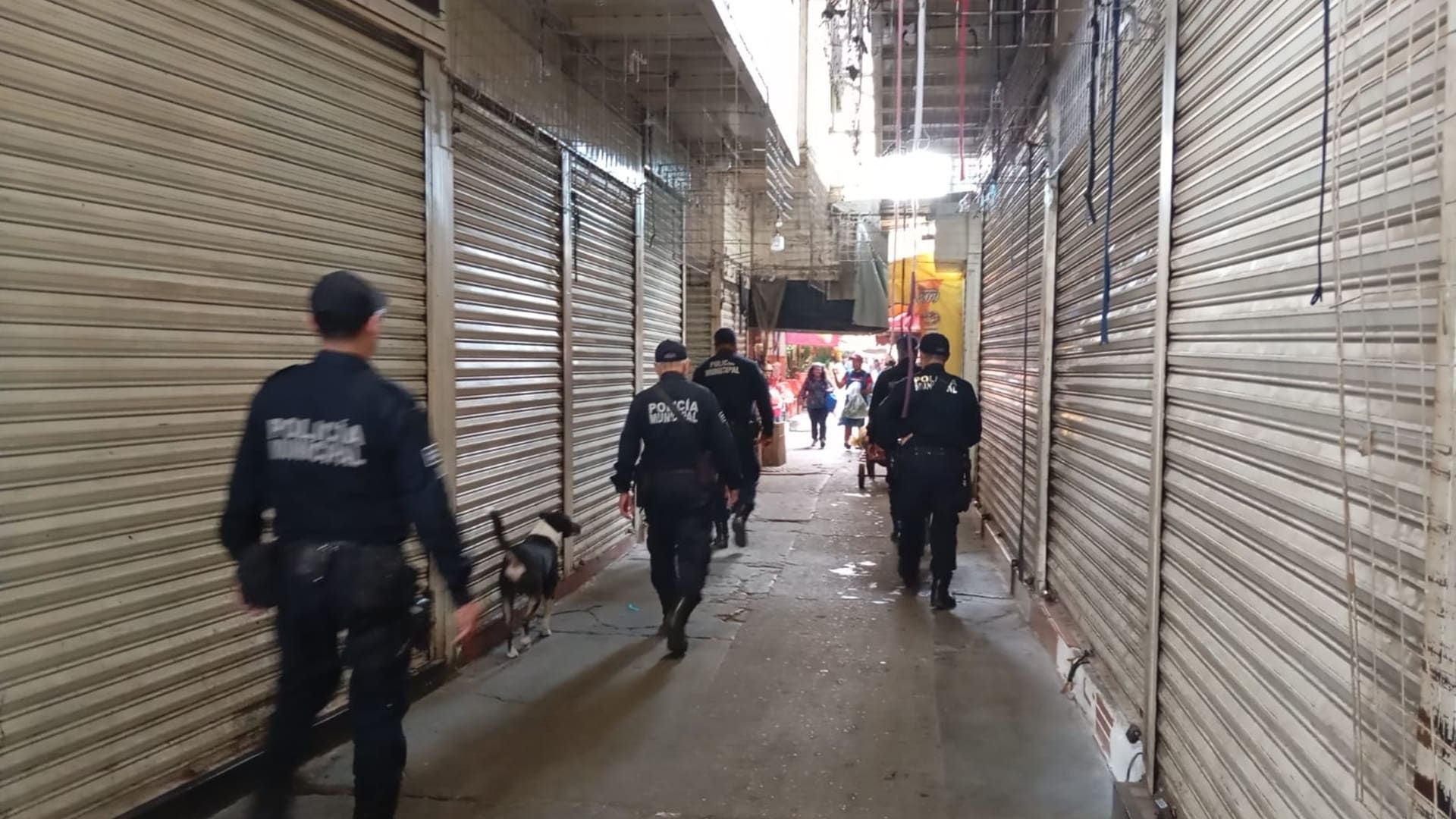 ¿Buscas trabajo en Oaxaca de Juárez? Amplían hasta el 30 de agosto convocatoria para integrarse a la Policía Municipal