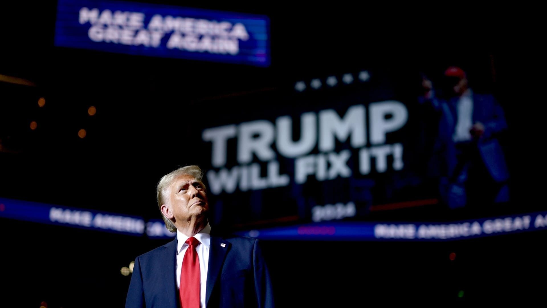 Trump afirma que el gobierno mexicano “le tiene mucho miedo a los cárteles”