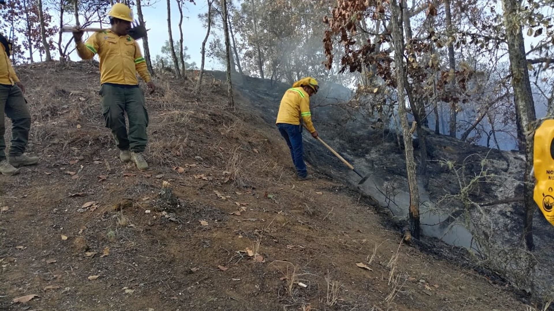 Total control del incendio forestal en San Juan Tamazola: Coesfo