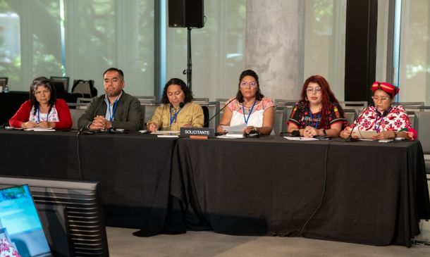 México participa en audiencia de la CIDH sobre derechos de pueblos indígenas y afromexicanos