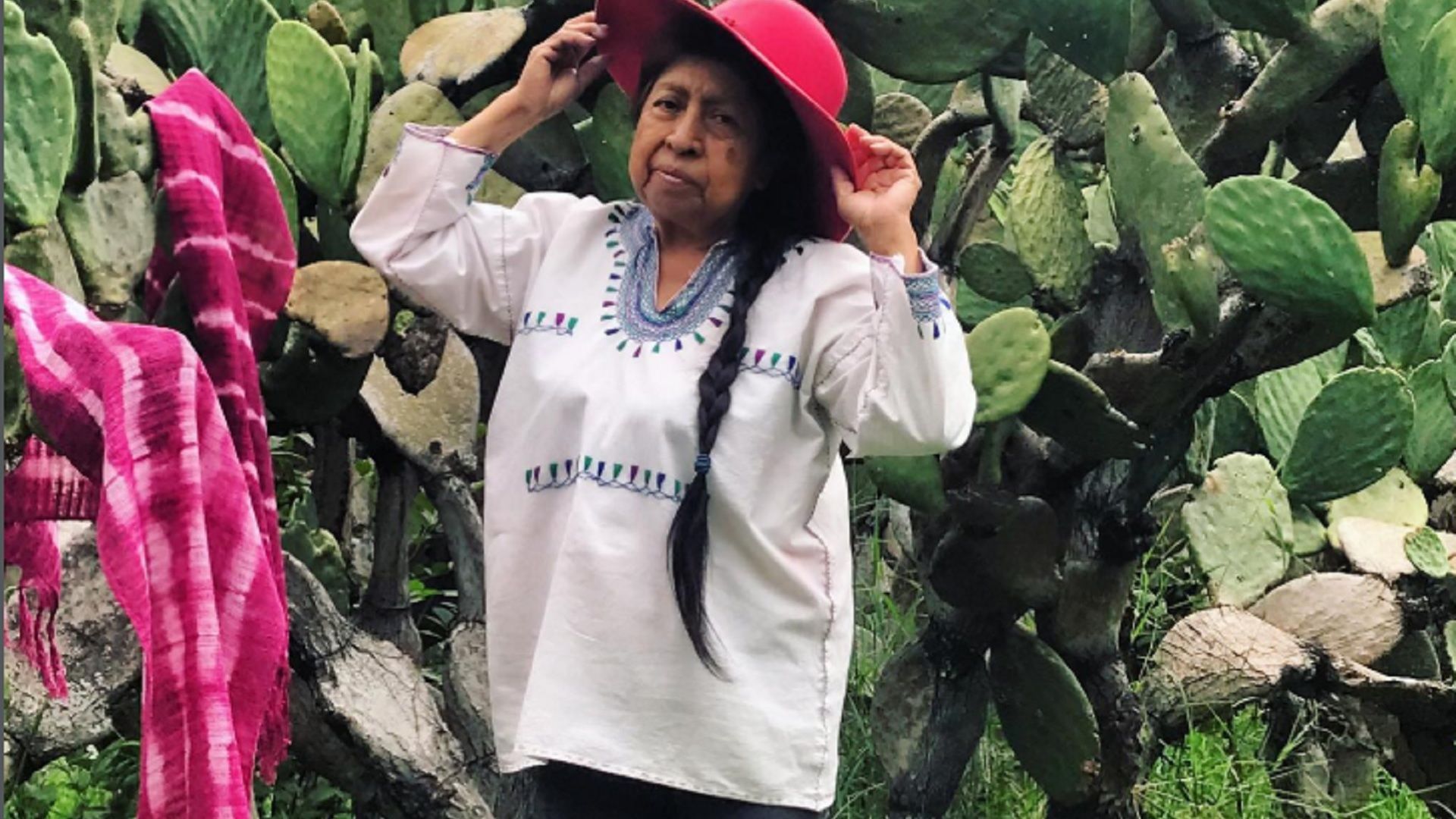 Entre insectos y herencia ancestral, Catalina Yolanda López Márquez lleva a Oaxaca al Premio Nacional de Artes