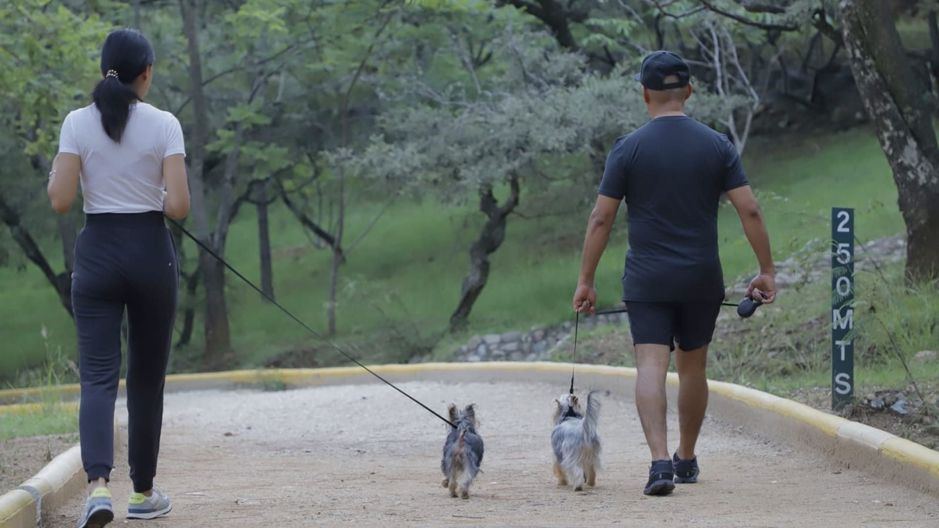 Parques pet friendly en Oaxaca: conoce los espacios con distintivo en la capital
