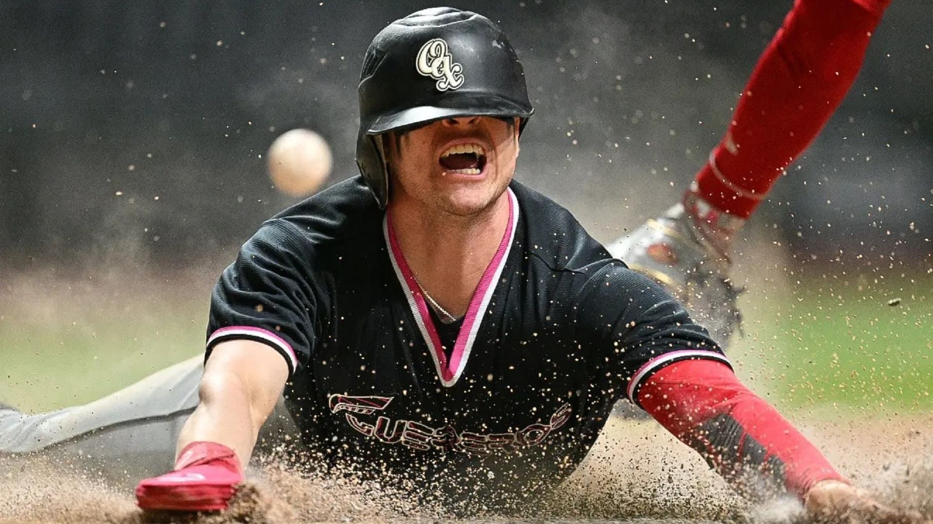 Guerreros de Oaxaca: 29 años de pasión por el beisbol