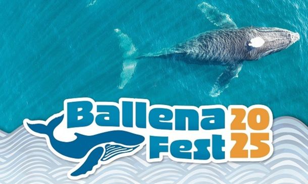 Puerto Ángel albergará el primer Ballena Fest 2025 con actividades científicas y culturales