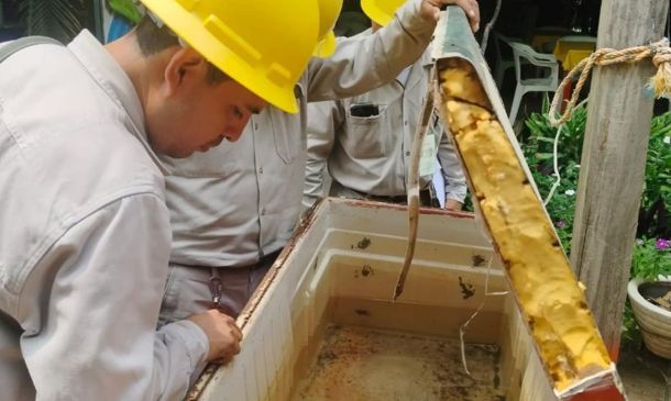 Detectan nuevos casos de dengue en cuatro municipios de Oaxaca