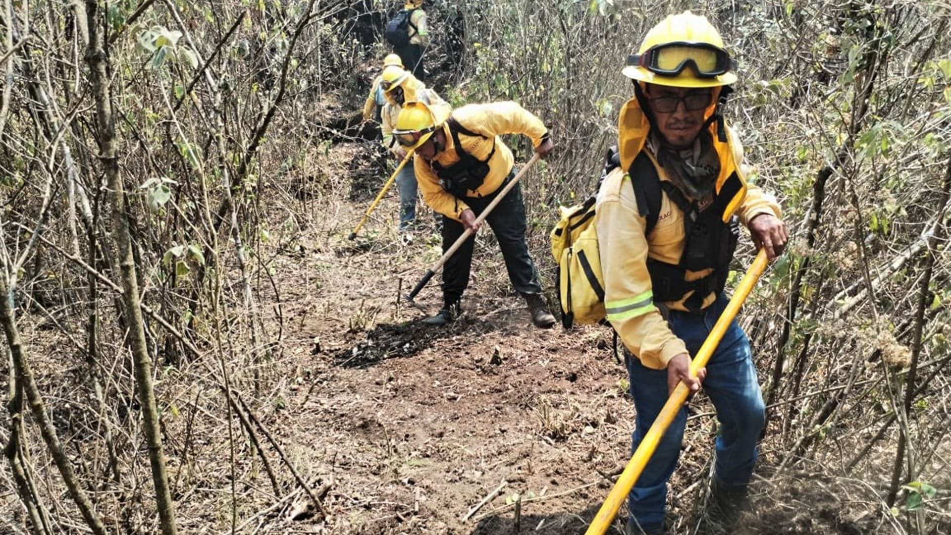 Autoridades atienden incendio en Cerro El Águila, Putla Villa de Guerrero