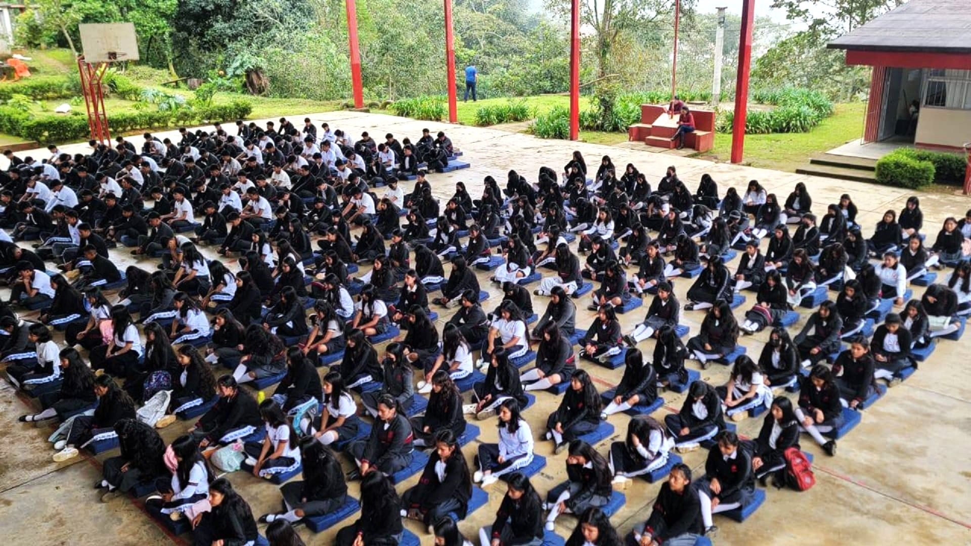 Cobao refuerza colaboración con la Fundación David Lynch para promover la meditación trascendental