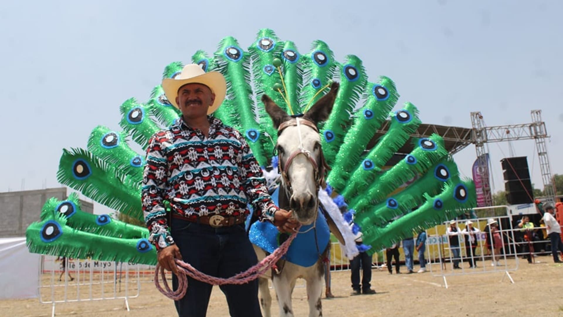 Otumba 2025: Tierra de Burrolandia y la Gran Feria Nacional del Burro