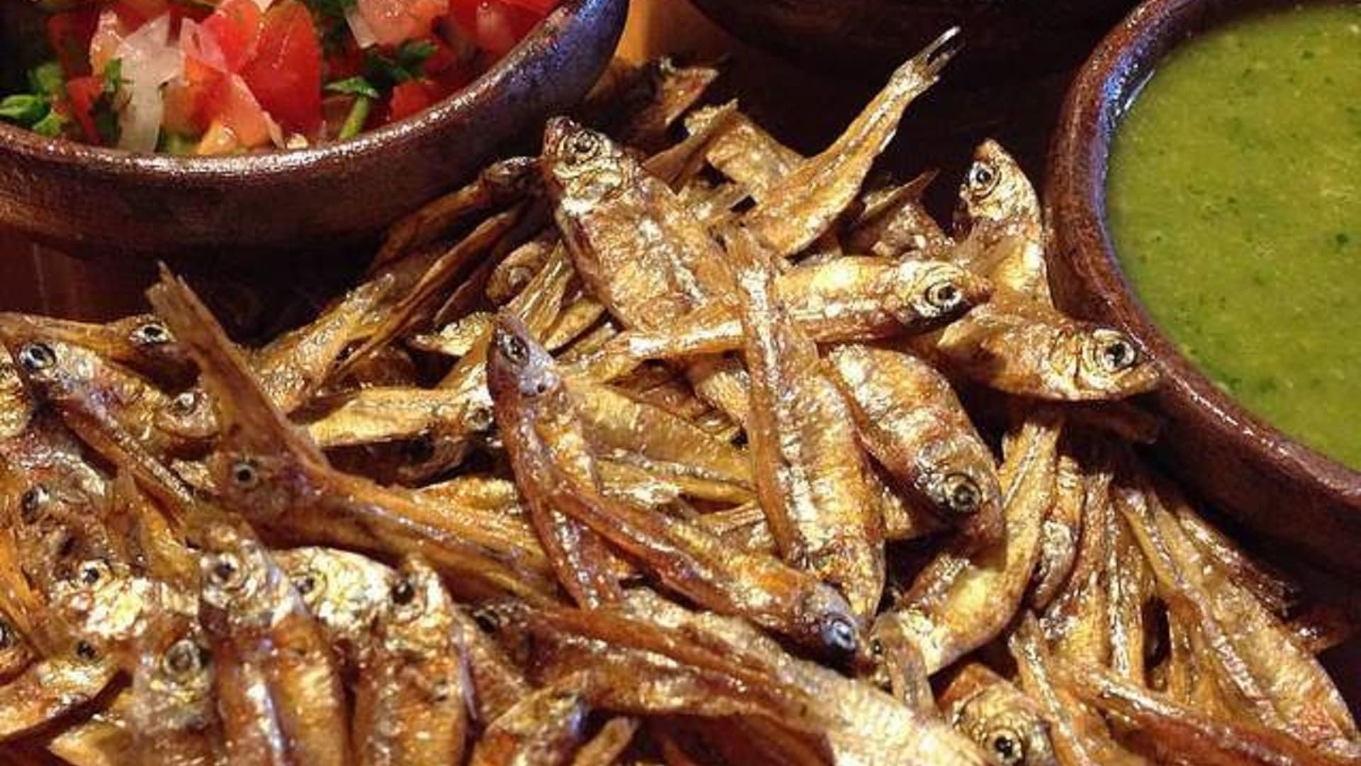 Charales en peligro de extinción: La lucha por salvar esta especie mexicana